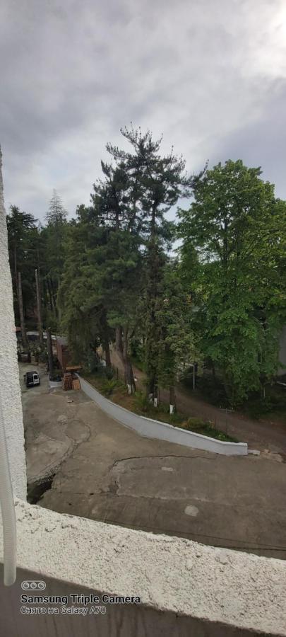 Студия Радуга У Моря Колхида Batumi Exteriör bild